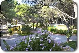 ホリデーパーク Camping La Vecchia Torre 3*